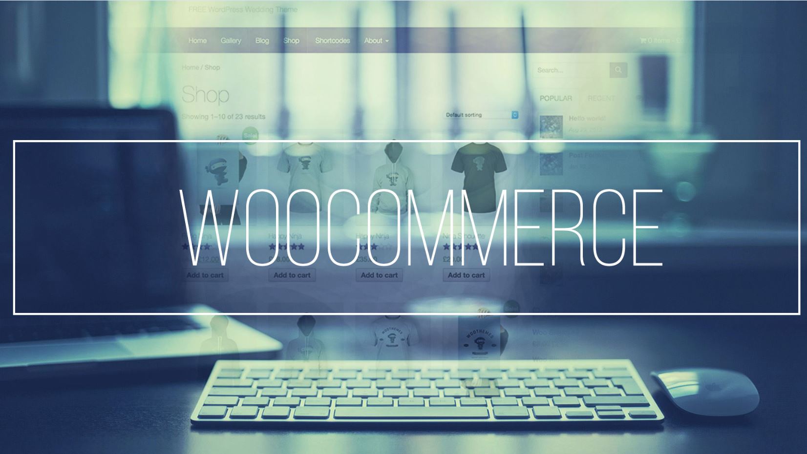Woocommerce-1