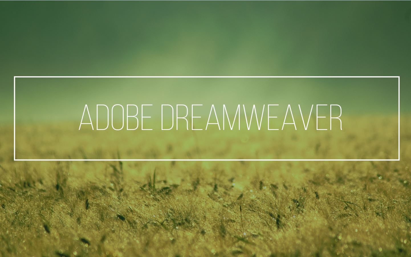 dreamweaver-1